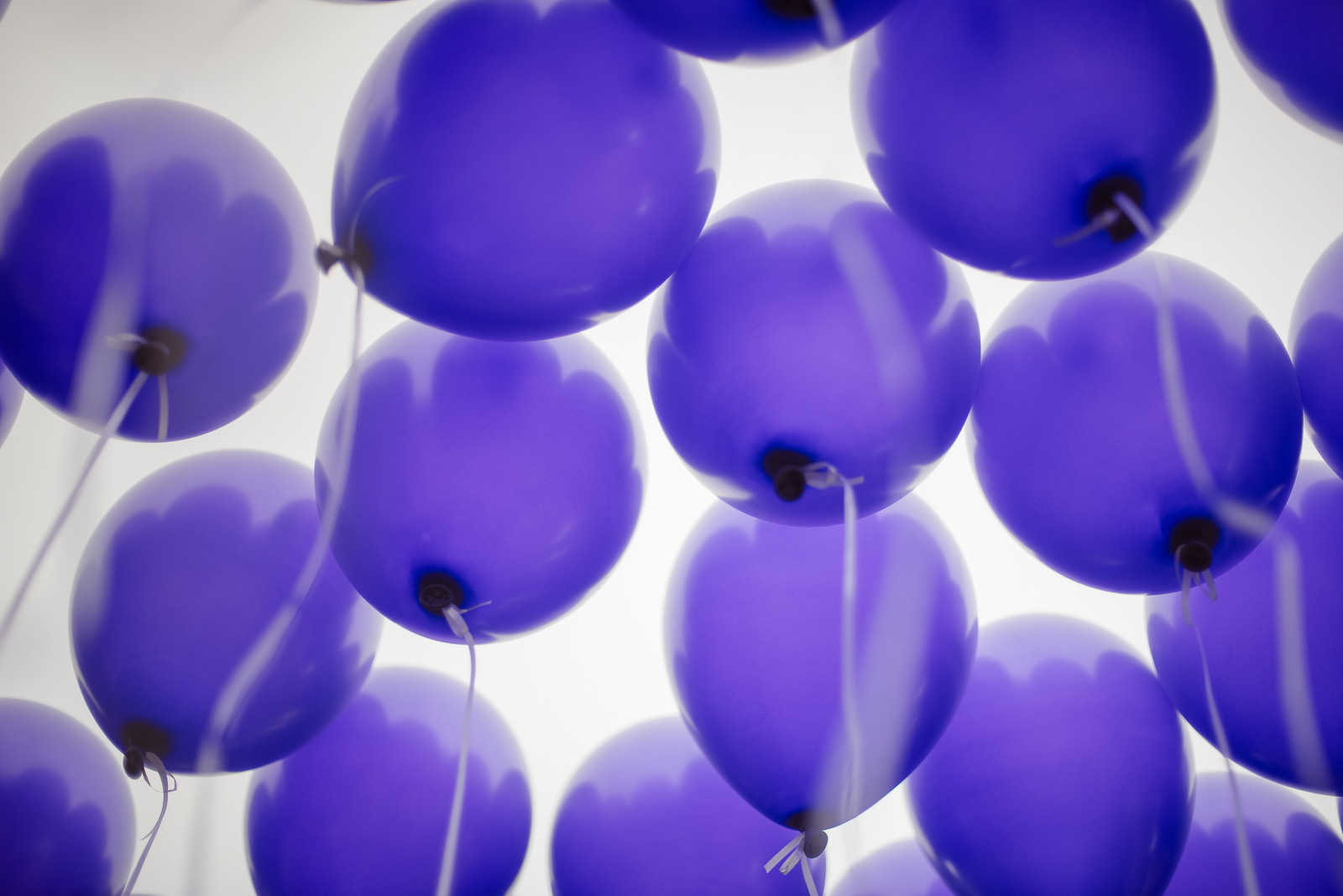bd1e1eb5cea789c0f5c80c9d8f4d1f55_1748829279_31.jpg